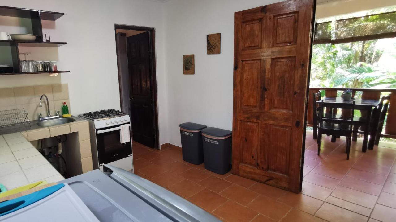 Colibri Apartments - 4 Min Walk To The Beach! Playa Santa Teresa  Екстериор снимка