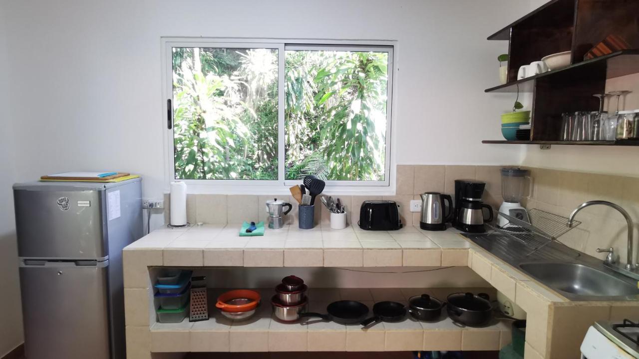 Colibri Apartments - 4 Min Walk To The Beach! Playa Santa Teresa  Екстериор снимка