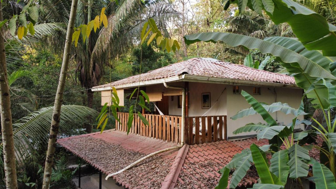 Colibri Apartments - 4 Min Walk To The Beach! Playa Santa Teresa  Екстериор снимка