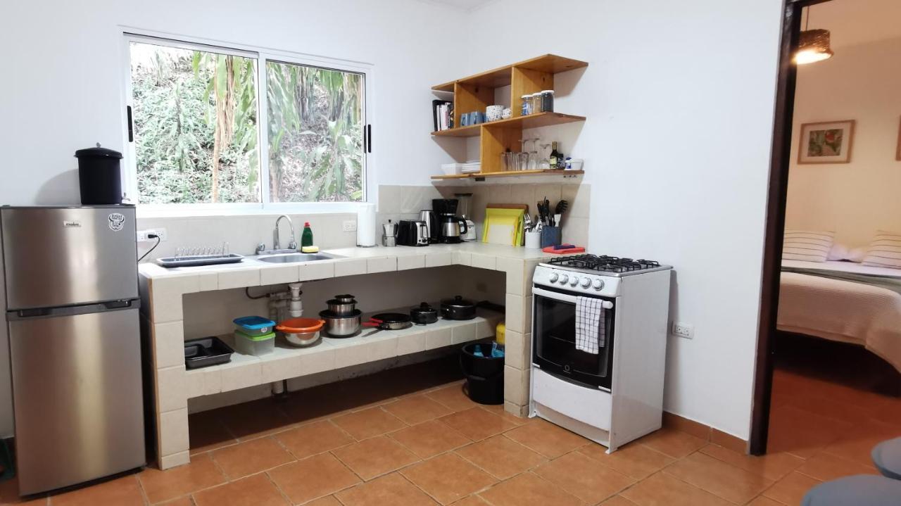 Colibri Apartments - 4 Min Walk To The Beach! Playa Santa Teresa  Екстериор снимка