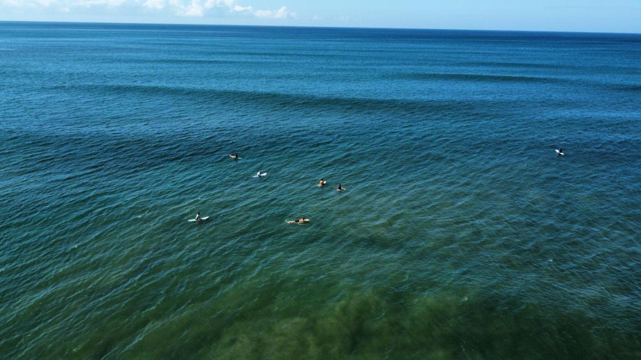Colibri Apartments - 4 Min Walk To The Beach! Playa Santa Teresa  Екстериор снимка