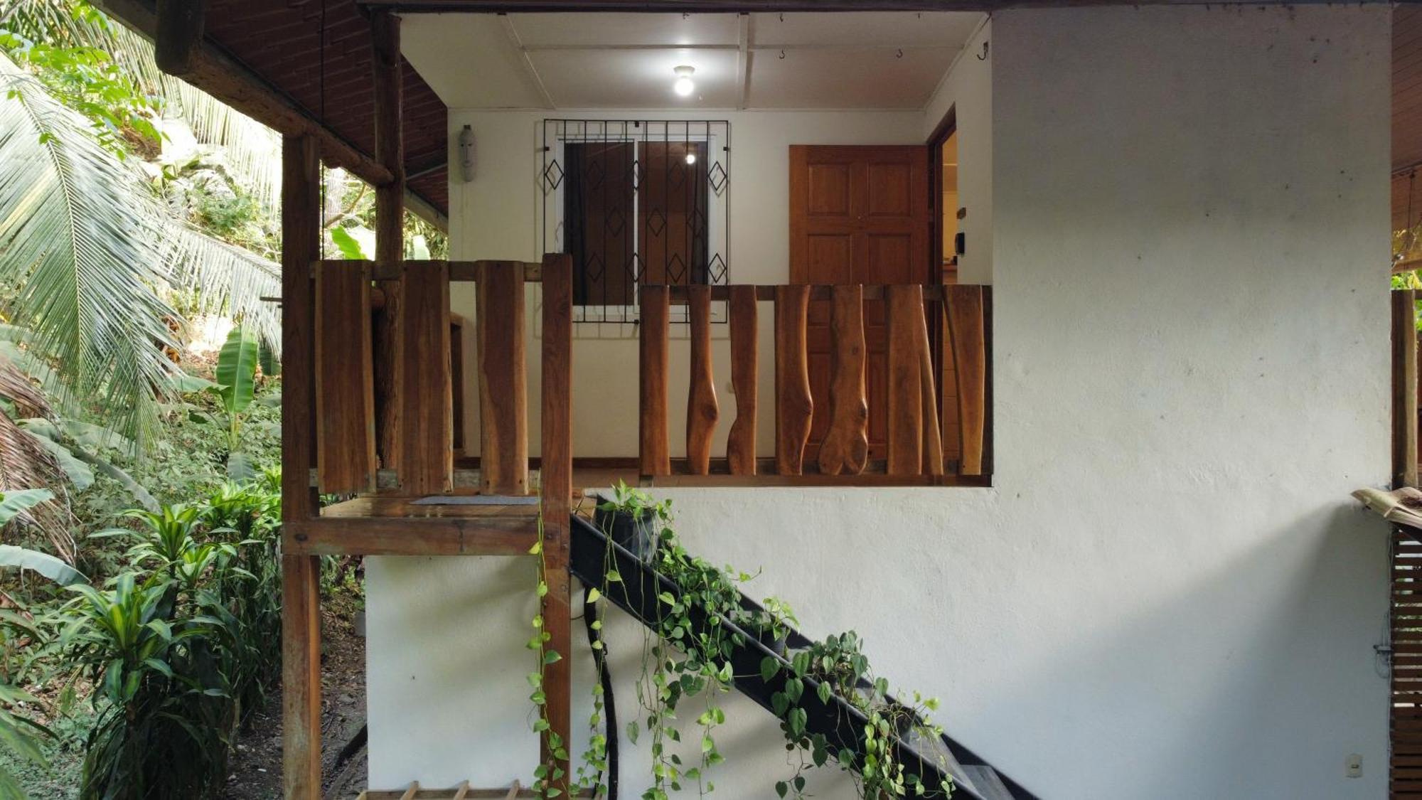Colibri Apartments - 4 Min Walk To The Beach! Playa Santa Teresa  Стая снимка