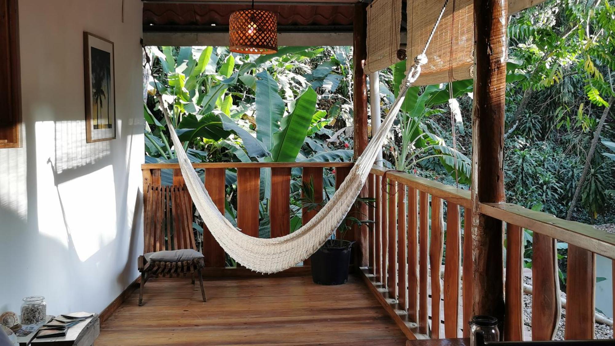 Colibri Apartments - 4 Min Walk To The Beach! Playa Santa Teresa  Стая снимка