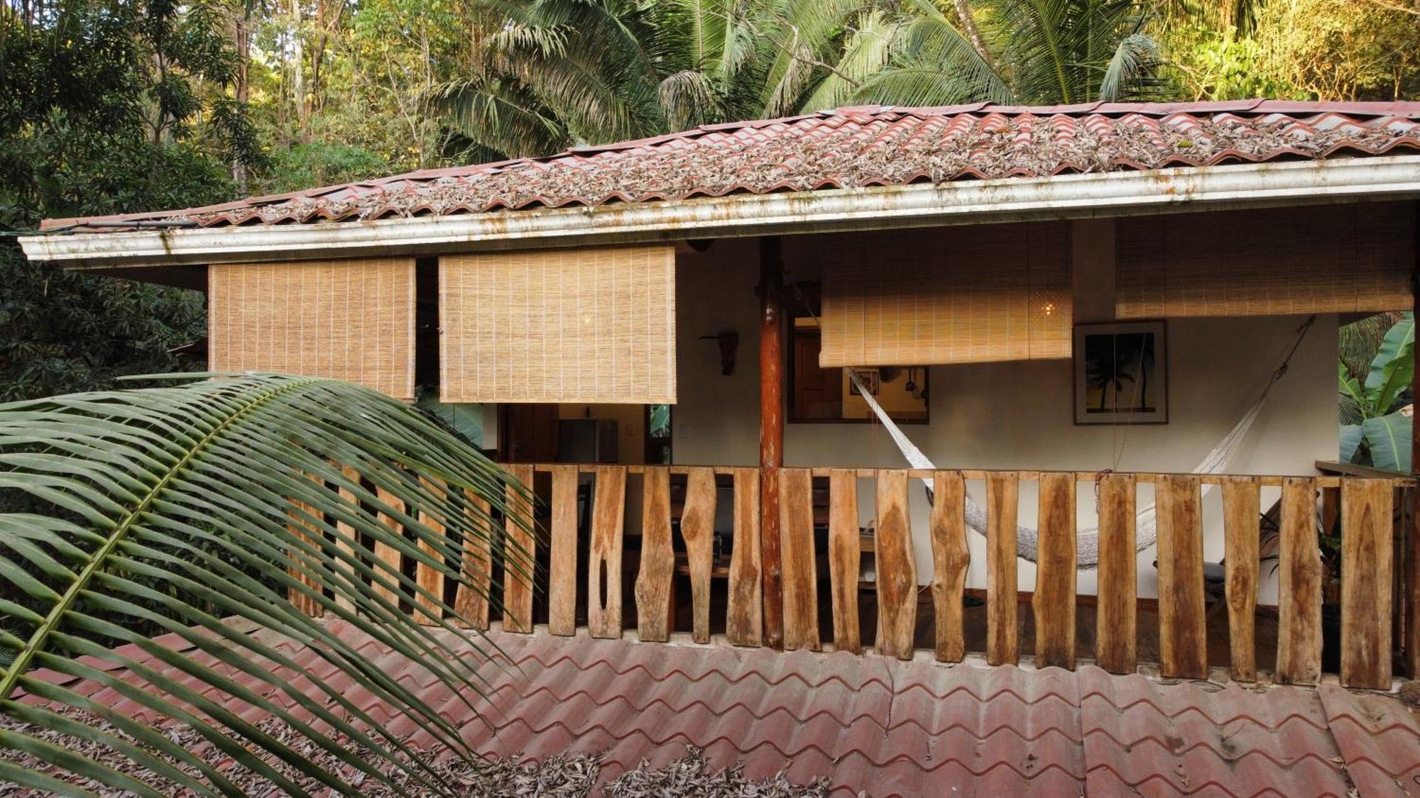 Colibri Apartments - 4 Min Walk To The Beach! Playa Santa Teresa  Стая снимка