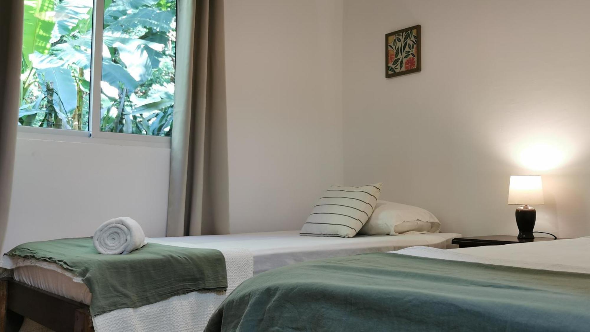 Colibri Apartments - 4 Min Walk To The Beach! Playa Santa Teresa  Стая снимка