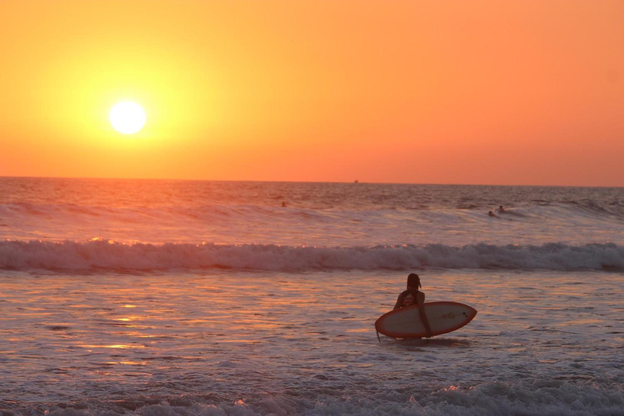 Colibri Apartments - 4 Min Walk To The Beach! Playa Santa Teresa  Екстериор снимка