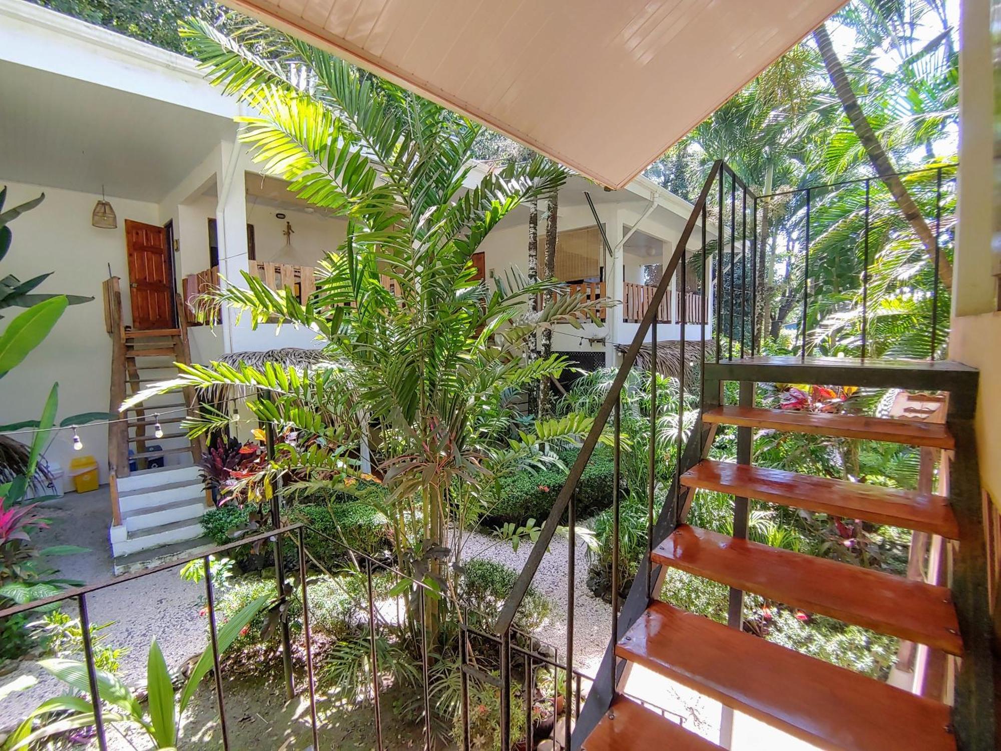 Colibri Apartments - 4 Min Walk To The Beach! Playa Santa Teresa  Екстериор снимка